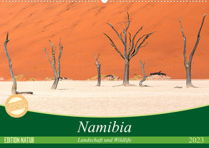 Namibia Landschaft und Wildlife (Wandkalender 2023 DIN A2 quer) von Junio,  Michele