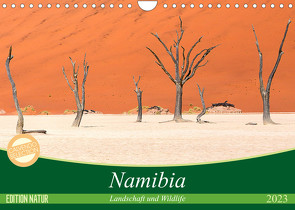 Namibia Landschaft und Wildlife (Wandkalender 2023 DIN A4 quer) von Junio,  Michele