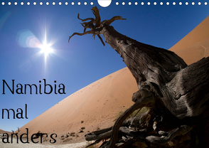 Namibia mal anders (Wandkalender 2021 DIN A4 quer) von Schmellenkamp,  Roland