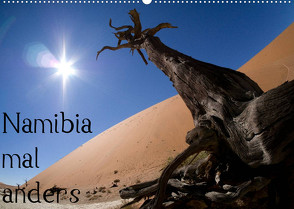 Namibia mal anders (Wandkalender 2022 DIN A2 quer) von Schmellenkamp,  Roland