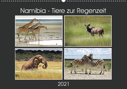 Namibia – Tiere zur Regenzeit 2021 (Wandkalender 2021 DIN A2 quer) von Hamburg, Mirko Weigt,  ©