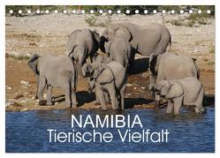 Namibia – Tierische Vielfalt (Tischkalender 2024 DIN A5 quer), CALVENDO Monatskalender von Morper,  Thomas