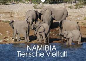 Namibia – Tierische Vielfalt (Wandkalender 2023 DIN A3 quer) von Morper,  Thomas