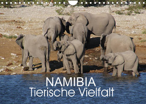 Namibia – Tierische Vielfalt (Wandkalender 2023 DIN A4 quer) von Morper,  Thomas