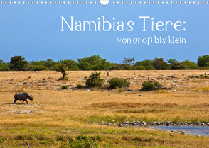 Namibias Tiere: von groß bis klein (Wandkalender 2023 DIN A3 quer) von Paszkowsky,  Ingo