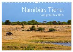Namibias Tiere: von groß bis klein (Wandkalender 2024 DIN A3 quer), CALVENDO Monatskalender von Paszkowsky,  Ingo