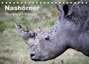 Nashörner – Begegnungen in Afrika (Tischkalender 2022 DIN A5 quer) von Herzog,  Michael