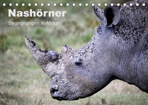 Nashörner – Begegnungen in Afrika (Tischkalender 2023 DIN A5 quer) von Herzog,  Michael