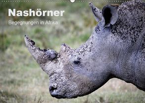 Nashörner – Begegnungen in Afrika (Wandkalender 2019 DIN A2 quer) von Herzog,  Michael
