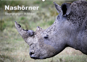 Nashörner – Begegnungen in Afrika (Wandkalender 2023 DIN A2 quer) von Herzog,  Michael