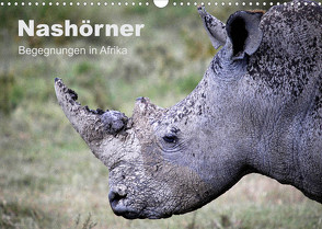 Nashörner – Begegnungen in Afrika (Wandkalender 2023 DIN A3 quer) von Herzog,  Michael