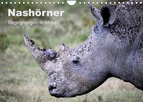 Nashörner – Begegnungen in Afrika (Wandkalender 2023 DIN A4 quer) von Herzog,  Michael
