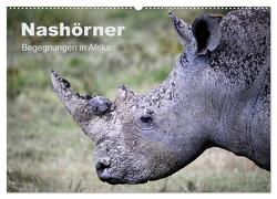 Nashörner – Begegnungen in Afrika (Wandkalender 2024 DIN A2 quer), CALVENDO Monatskalender von Herzog,  Michael