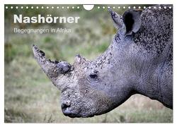Nashörner – Begegnungen in Afrika (Wandkalender 2024 DIN A4 quer), CALVENDO Monatskalender von Herzog,  Michael