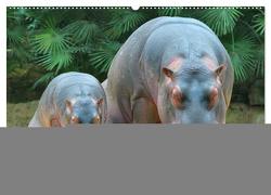 Nashörner & Flusspferde (Wandkalender 2024 DIN A2 quer), CALVENDO Monatskalender von Stanzer,  Elisabeth