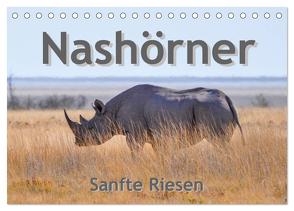 Nashörner – Sanfte Riesen (Tischkalender 2024 DIN A5 quer), CALVENDO Monatskalender von Styppa,  Robert