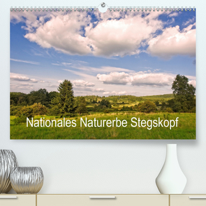 Nationales Naturerbe Stegskopf (Premium, hochwertiger DIN A2 Wandkalender 2021, Kunstdruck in Hochglanz) von Schaefgen,  Matthias