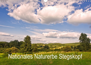 Nationales Naturerbe Stegskopf (Wandkalender 2020 DIN A3 quer) von Schaefgen,  Matthias