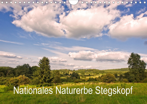 Nationales Naturerbe Stegskopf (Wandkalender 2020 DIN A4 quer) von Schaefgen,  Matthias