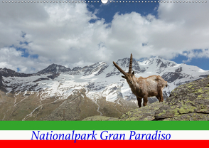Nationalpark Gran Paradiso (Wandkalender 2021 DIN A2 quer) von Schörkhuber,  Johann