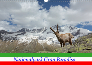 Nationalpark Gran Paradiso (Wandkalender 2021 DIN A3 quer) von Schörkhuber,  Johann