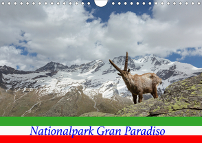 Nationalpark Gran Paradiso (Wandkalender 2021 DIN A4 quer) von Schörkhuber,  Johann