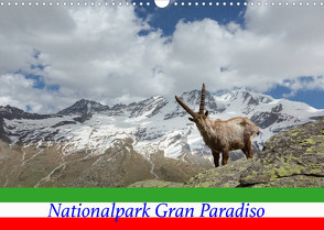Nationalpark Gran Paradiso (Wandkalender 2022 DIN A3 quer) von Schörkhuber,  Johann