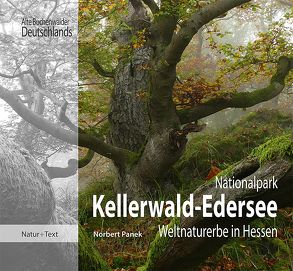 Nationalpark Kellerwald-Edersee von Bogon,  Klaus, Delpho,  Manfred, Ewert,  Wolfgang, Kubosch,  Ralf, Panek,  Norbert