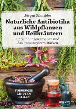 Natürliche Antibiotika aus Wildpflanzen und Heilkräutern von Schneider,  Jürgen
