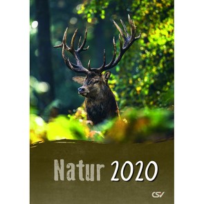 Natur, 2023 von Christliche Schriftenverbreitung,  e.V.
