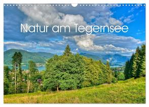 Natur am Tegernsee (Wandkalender 2024 DIN A3 quer), CALVENDO Monatskalender von Wittstock,  Ralf