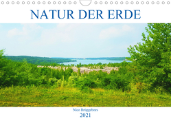 Natur der Erde (Wandkalender 2021 DIN A4 quer) von Brüggeboes,  Nico