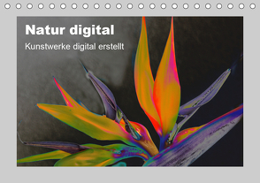 Natur Digital (Tischkalender 2021 DIN A5 quer) von Franz,  Ingrid