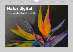 Natur Digital (Wandkalender 2021 DIN A4 quer) von Franz,  Ingrid