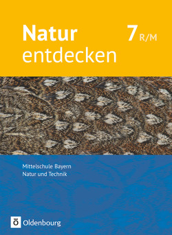 Natur entdecken – Neubearbeitung – Natur und Technik – Mittelschule Bayern 2017 – 7. Jahrgangsstufe von Kraft,  Franz, Schnupp,  Bernhard, Schön,  Kathrin, Schropp,  Eva, Wolff,  Juergen