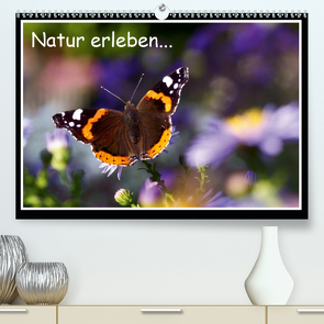 Natur erleben… (Premium, hochwertiger DIN A2 Wandkalender 2020, Kunstdruck in Hochglanz) von Angermayr,  Robert