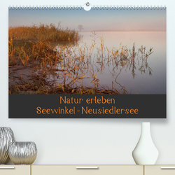 Natur erleben Seewinkel-Neusiedlersee (Premium, hochwertiger DIN A2 Wandkalender 2023, Kunstdruck in Hochglanz) von Schörkhuber,  Johann