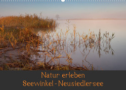 Natur erleben Seewinkel-Neusiedlersee (Wandkalender 2023 DIN A2 quer) von Schörkhuber,  Johann