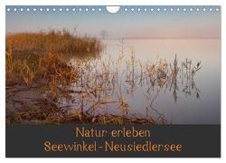 Natur erleben Seewinkel-Neusiedlersee (Wandkalender 2024 DIN A4 quer), CALVENDO Monatskalender von Schörkhuber,  Johann