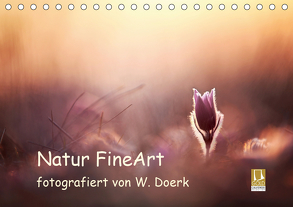 Natur FineArt fotografiert von Wiltrud Doerk (Tischkalender 2020 DIN A5 quer) von Doerk,  Wiltrud