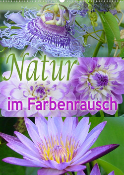 Natur im Farbenrausch (Wandkalender 2023 DIN A2 hoch) von B-B Müller,  Christine