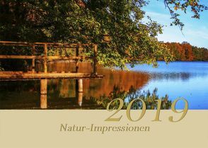 Natur-Impressionen 2019 A2 von Erwin,  Martin