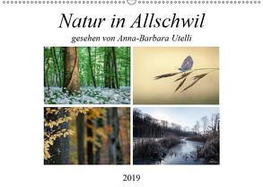 Natur in Allschwil (Wandkalender 2019 DIN A2 quer) von Utelli,  Anna-Barbara