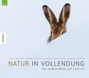 Natur in Vollendung von Kantioler,  Georg, Plaickner,  Manuel, Wassermann,  Hugo, Wassermann,  Johannes