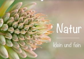 Natur klein und fein (Wandkalender 2018 DIN A2 quer) von Busse,  Alexander