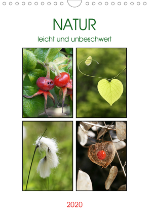 Natur leicht und unbeschwert (Wandkalender 2020 DIN A4 hoch) von Kruse,  Gisela