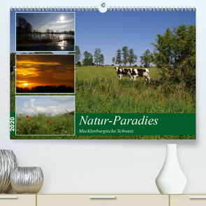 Natur-Paradies Mecklenburgische Schweiz (Premium, hochwertiger DIN A2 Wandkalender 2020, Kunstdruck in Hochglanz) von Katharina Tessnow,  Antonia