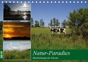 Natur-Paradies Mecklenburgische Schweiz (Tischkalender 2019 DIN A5 quer) von Katharina Tessnow,  Antonia