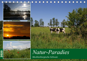 Natur-Paradies Mecklenburgische Schweiz (Tischkalender 2020 DIN A5 quer) von Katharina Tessnow,  Antonia