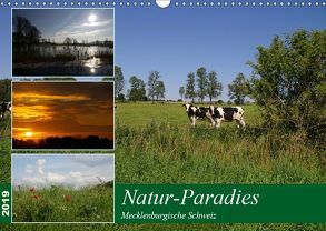 Natur-Paradies Mecklenburgische Schweiz (Wandkalender 2019 DIN A3 quer) von Katharina Tessnow,  Antonia